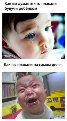 x_d964f765.jpg