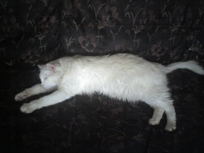 18-10-12_1235.jpg