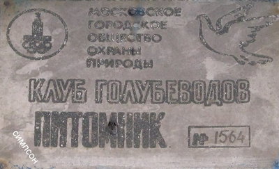 17.11.12 035-001.jpg
