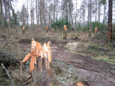 18.11.12 003-001.jpg
