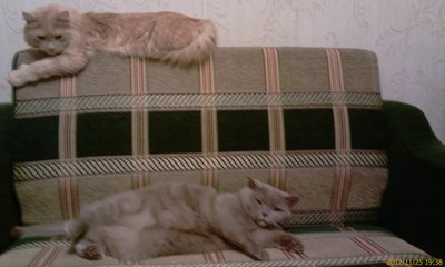 IMAG0037.jpg
