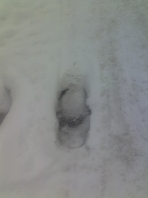 17-01-13_1455.jpg