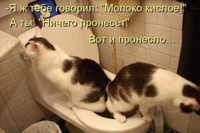 молоко.jpg