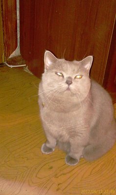 IMAG0099.jpg