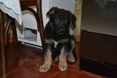 DSC_0218.jpg
