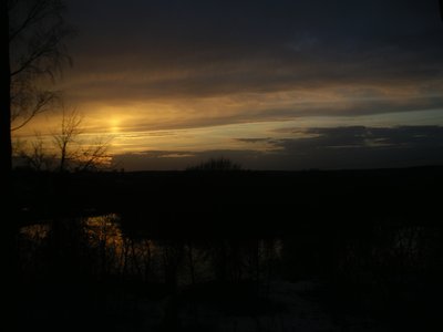 IMGP1427.JPG