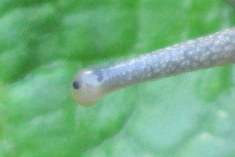 15.05.13 012-001.jpg