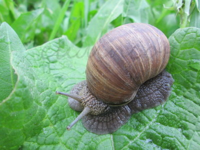 15.05.13 014-001.jpg