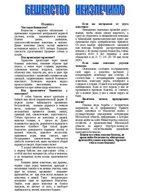 Бешенство1.JPG