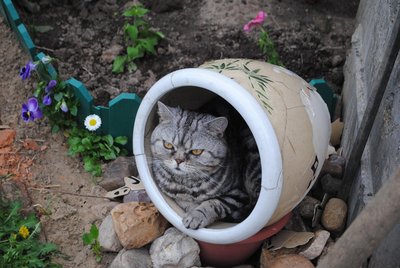 DSC_1948.JPG