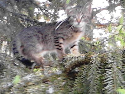 IMG10002.jpg