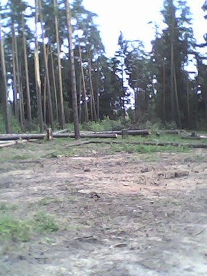 IMG0028A.jpg