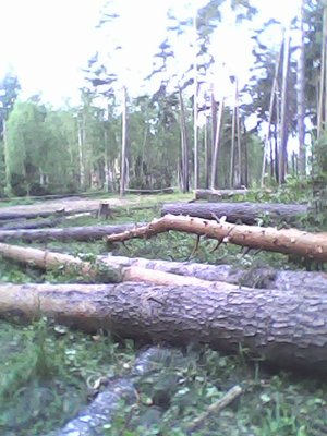 IMG0025A.jpg