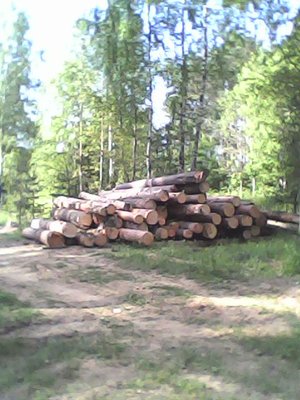 IMG0029A.jpg