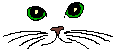koshkia-1454.gif