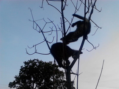 IMG10008.jpg