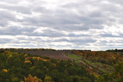 DSC_10971.jpg