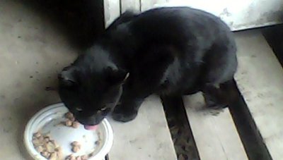 IMG00164.jpg