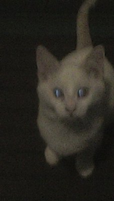 IMG00232.jpg