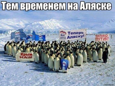 smeshnie_kartinki_139541866318.jpg