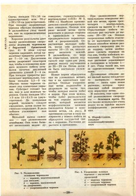 Старые журналы 002.jpg