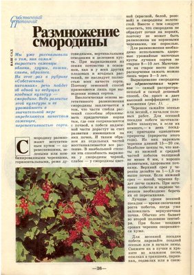 Старые журналы.jpg