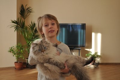 кошка катя.JPG