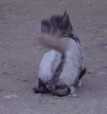 DSC09199-2.jpg