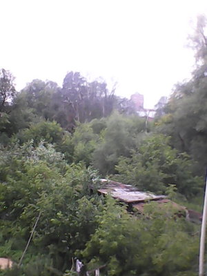 IMG_20140905_110051.jpg