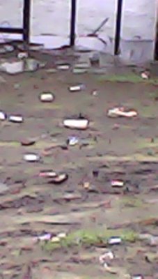 IMG00520.jpg