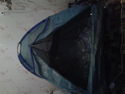 2015-01-29 10.49.57.jpg