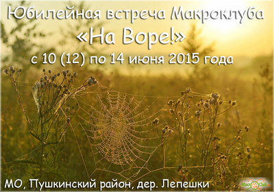 DSC_7710 копия.jpg