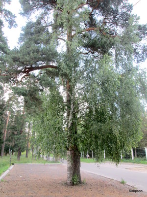 09.07.15 012-001.jpg