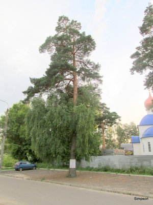 09.07.15 008-001.jpg
