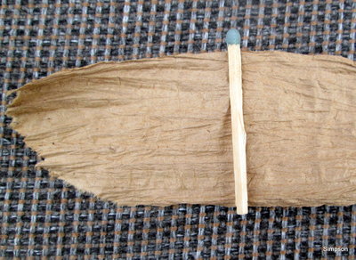 09.07.15 004-001.jpg