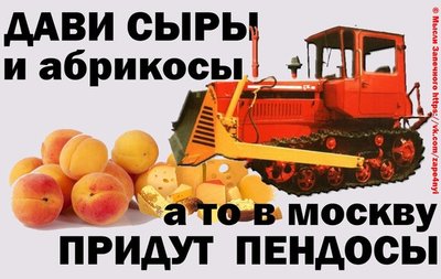 дави.jpg