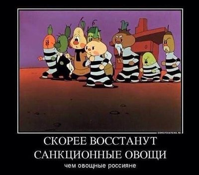 овощи.jpg