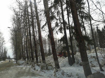 2016-03-25 07-48-48.JPG