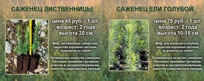 Безымянный5.jpg