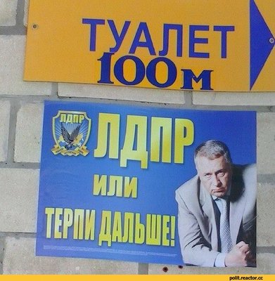 терпи.jpeg