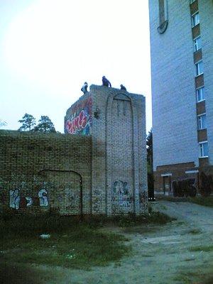 07062012(006).jpg