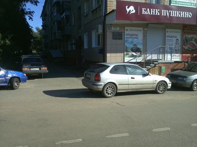 IMG533.jpg