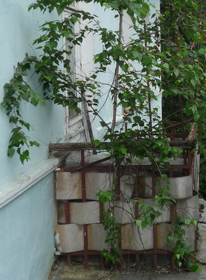 P1020174.jpg