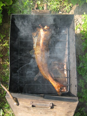 июль, дача 2012 012.jpg