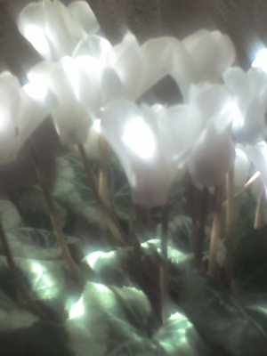 19-07-12_1603.jpg