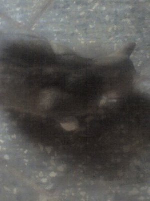 19-07-12_1729.jpg