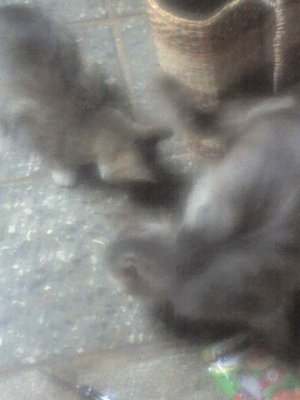 19-07-12_1743.jpg