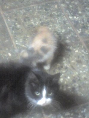 19-07-12_1745.jpg