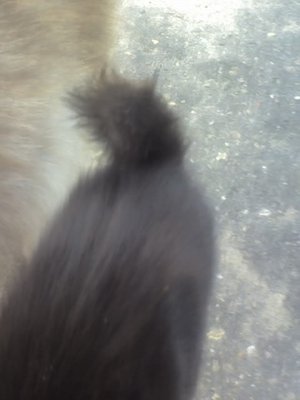 19-07-12_1811.jpg