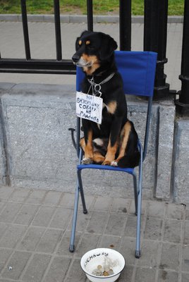 DSC_0286.JPG